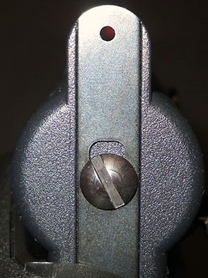 detail, AR-7 sight picture